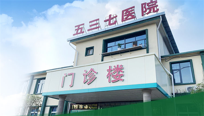 认知行为疗法在神经性厌食治疗中的实践与突破